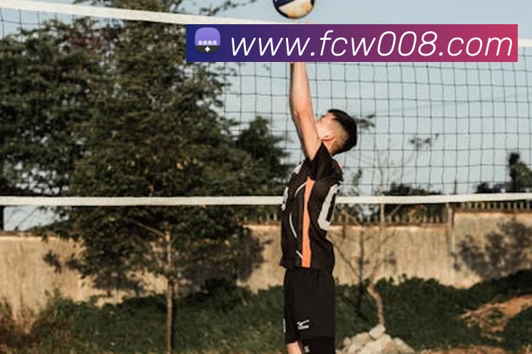 福彩网平台生态图